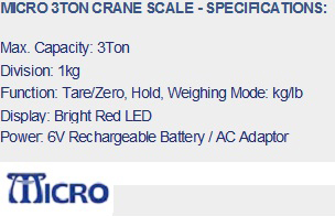 3ton crane scale specs